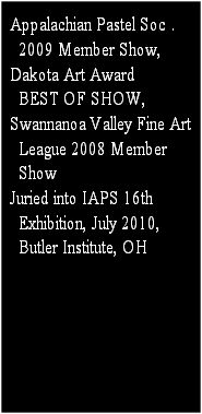 Appalachian Pastel Soc.. 
  2009 Member Show, 
Dakota Art Award
  BEST OF SHOW, 
Swannanoa Valley Fine Art
  League 2008 Member 
  Show
Juried into IAPS 16th 
  Exhibition, July 2010,
  Butler Institute, OH
