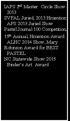 IAPS 2nd Master  Circle Show 
  2013
SVFAL Juried, 2013 Hmention 
  APS 2013 Juried Show
Pastel Journal 100 Competition, 
15th Annual, Hmention Award
  ALHC 2014 Show, Mary 
Robinson Award for BEST 
  PASTEL
NC Statewide Show 2015 
  Binder’s Art  Award

