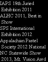 IAPS 18th Juried 
 Exhibition 2011
ALHC 2011, Best in 
 Show
SPS International 
 Exhibition 2012
Appalachian Pastel
 Society 2012 National
NC Statewide Show
 2013, Mt. Vision Awd

